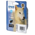 Картридж Epson T0965 (C13T09654010)
