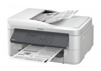 Epson K301