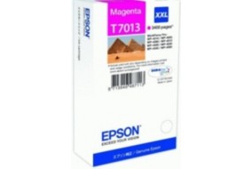 Картридж Epson T7013 (C13T70134010)