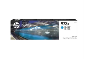 Картридж HP F6T81AE (973X)