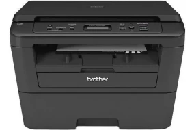 Brother DCP-L2520DWR