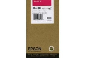 Картридж Epson T603B (C13T603B00)