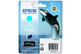 Картридж Epson T7602 (C13T76024010)