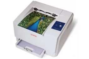Xerox Phaser 6110N