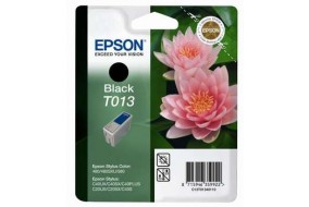 Картридж Epson T013 (C13T01340110)