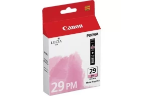 Картридж Canon PGI-29PM