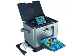 Epson Picture Mate PM290