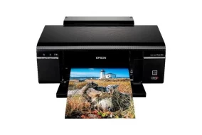 Epson Stylus Photo P50